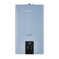 Газовый проточный водонагреватель Thermex T 20 D Silver Grey